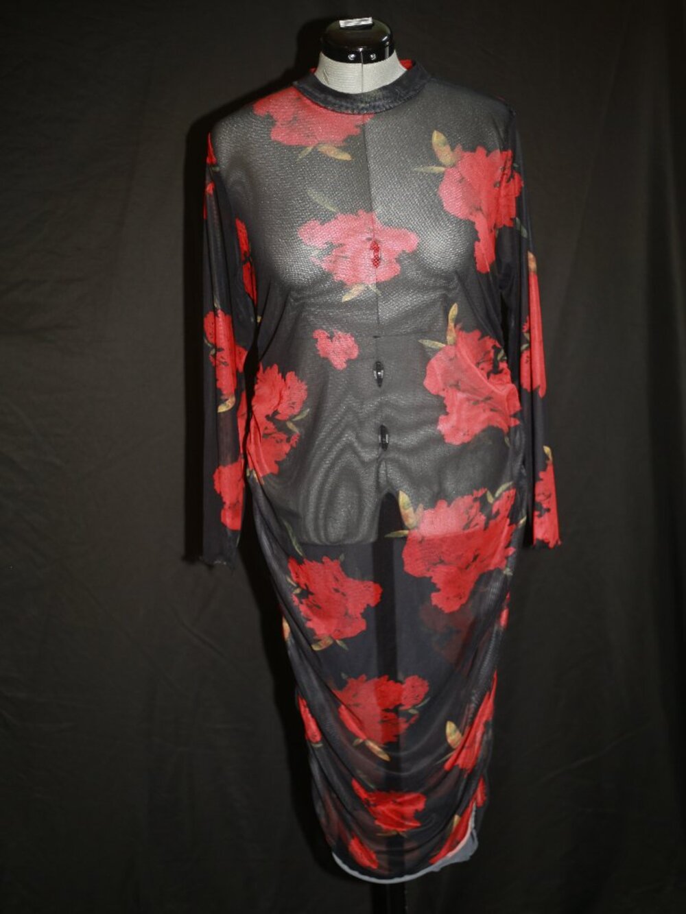 Sheer Floral Mesh Long-Sleeve Dress – Black Mesh with Red Flowers – Fits XL–1X